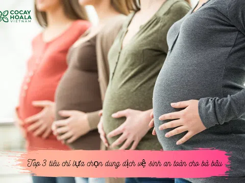 TOP 3 tiêu chí hàng đầu lựa chọn dung dịch vệ sinh an toàn cho bà bầu