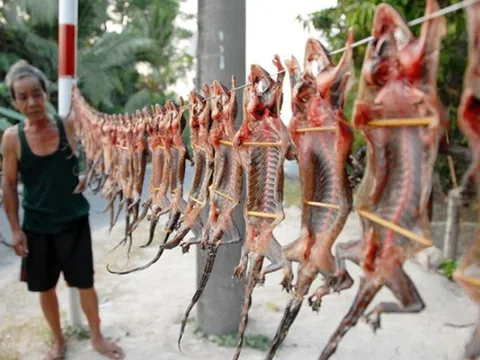 Những đặc sản "nghe tên đã thấy hãi" ở miền Tây