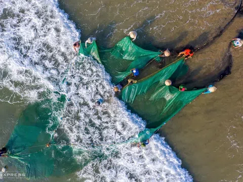 Kéo lưới rùng Sơn Trà