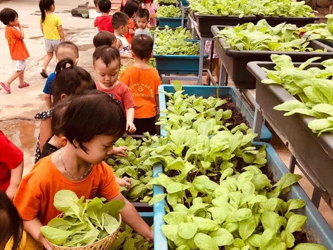 Trường Mầm non Lý Khánh Văn làm tốt công tác đảm bảo vệ sinh an toàn thực phẩm năm học 2019 – 2020