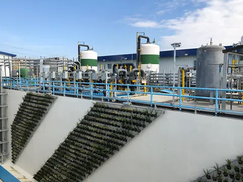 Doanh nghiệp Tây Ban Nha lấy Việt Nam làm động lực để tiến vào thị trường Đông Nam Á