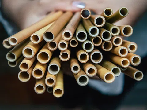 Ống hút tre và những điều có thể bạn chưa biết?