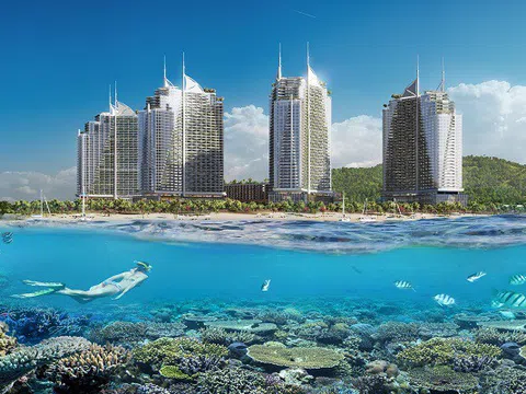 Công suất buồng phòng hơn 90%, Crystal Bay Hospitality tiết lộ các bí quyết thành công