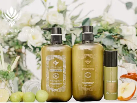 Giải pháp hàng đầu cho nỗi ám ảnh rụng tóc, hói đầu do sử dụng dầu gội hóa chất