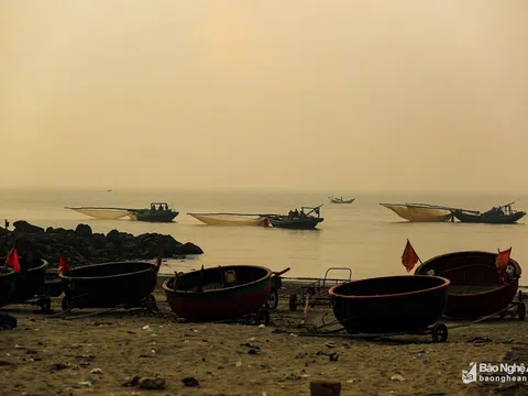 Thử một lần 'săn' ruốc biển đặc sản Cửa Lò cùng ngư dân Nghệ An