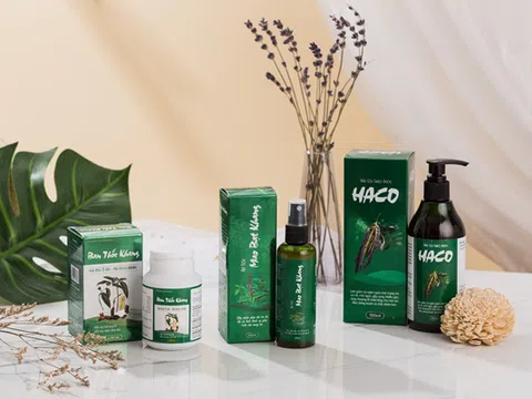 GS. TS Trương Việt Bình cùng 'công thức' để có một mái tóc khoẻ mạnh, không còn hói đầu, bạc tóc sớm