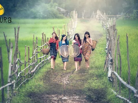 Bổ sung estrogen bằng hạt lanh lựa chọn tối ưu