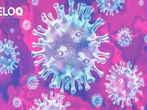 Corona: Tìm kiếm cơ hội trong khủng hoảng