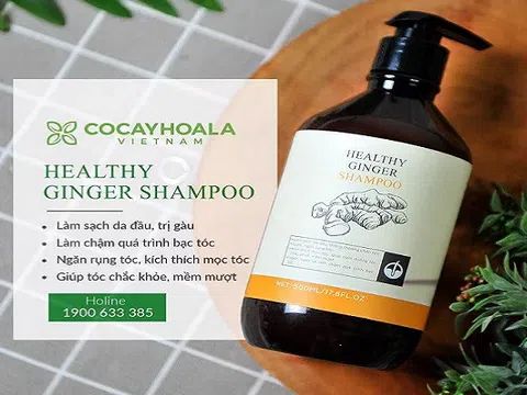 Top sản phẩm bán chạy không thể bỏ lỡ của Cỏ cây hoa lá