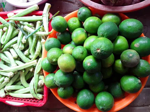 Dịch Covid-19: Chọn thực phẩm tăng cường sức đề kháng mùa dịch bệnh