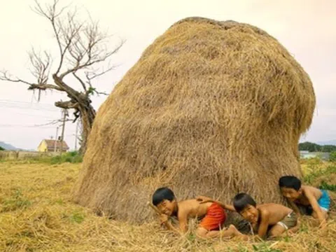 Nhìn cảnh đốt đồng, nhớ cây rơm bên hiên nhà ngoại