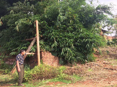  Gia Lai: Tỉnh vào cuộc do huyện tùy tiện