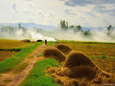 Nhớ ánh chiều vàng