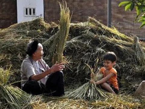 Bóng bà trong mảnh vườn xưa