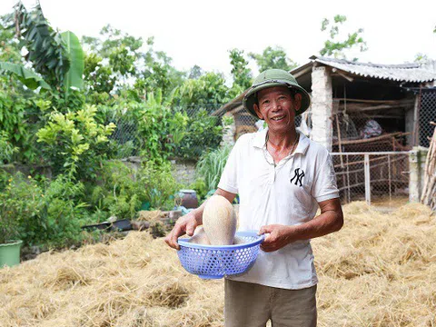 Chuyện về người nông dân 50 năm chiến đấu với bệnh khớp