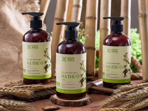 Sử dụng dầu gội hà thủ ô có tốt không?