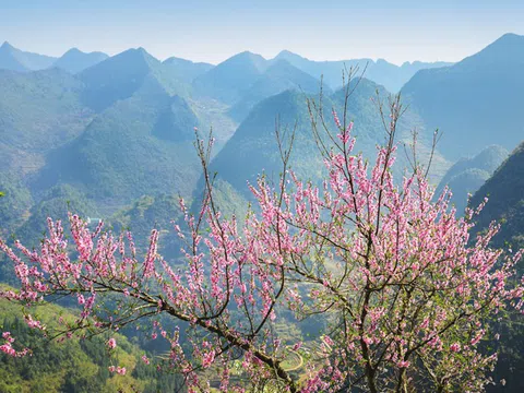 Đông Tây Bắc - Những cung đường mùa xuân