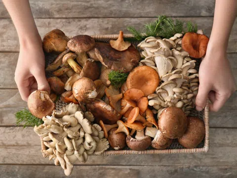 6 loại nấm tốt như “tiên dược” vừa chữa bệnh lại ngừa ung thư hiệu quả