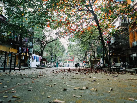 Chất lượng không khí 2 tháng đầu năm 2020 như thế nào?