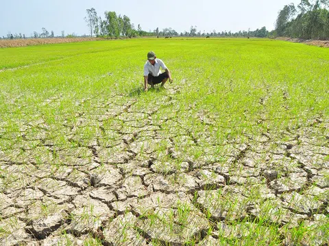 Người dân ĐBSCL đối mặt với hạn mặn khốc liệt nhất trong lịch sử