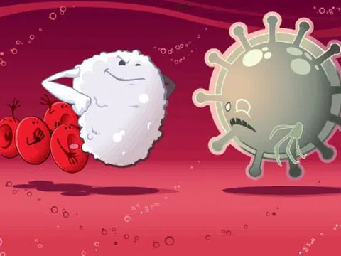 Những thói quen sai lầm hằng ngày khiến bạn dễ mắc bệnh truyền nhiễm