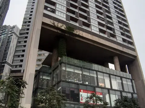 Sai phạm tại chung cư Dolphin Plaza:  Chủ đầu tư chây ì, chính quyền quận thờ ơ