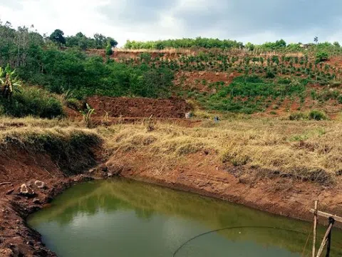 Đắk Lắk: Theo bố lên rẫy, hai anh em đuối nước thương tâm