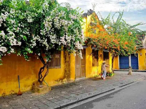 Phố cổ Hội An vẫn đẹp nao lòng trong những ngày cùng cả nước chống dịch