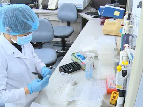 Việt Nam ghi nhận 237 ca mắc COVID-19