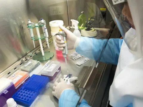 Thêm 2 ca mắc mới COVID-19, có 1 người liên quan đến bệnh nhân 243, Việt Nam có 257 ca