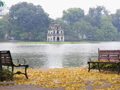 Phố phường Hà Nội đẹp nao lòng mùa sấu trút lá vàng