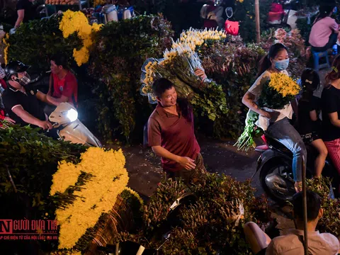 Hà Nội: Chợ hoa đầu mối nhộn nhịp trở lại