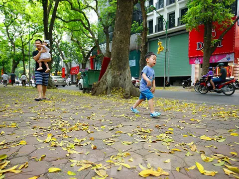 Hà Nội mùa thay lá