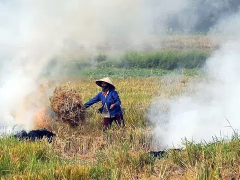 Chất lượng không khí đạt ngưỡng "rất xấu" do tình trạng đốt rơm rạ