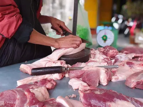 Giá thịt heo tiếp tục có xu hướng giảm