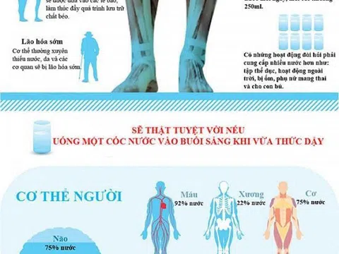 Nên uống bao nhiêu nước mỗi ngày để bảo vệ sức khỏe?