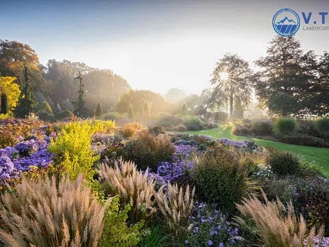 Tiết lộ những điều cần biết khi thiết kế, thi công cảnh quan