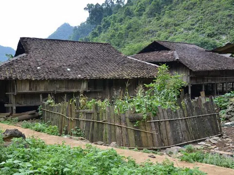 Chuyện lạ Cao Bằng: Đường đến 'thiên đường' xuyên qua gốc cây nghiến cổ