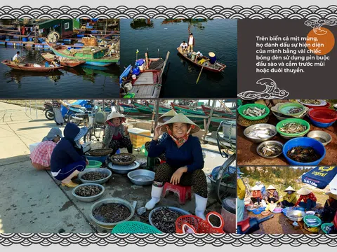 Cuộc phiêu lưu miệt biển