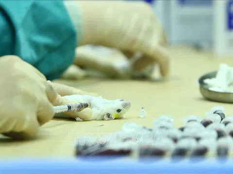 Việt Nam tăng cường nghiên cứu phát triển vaccine COVID-19