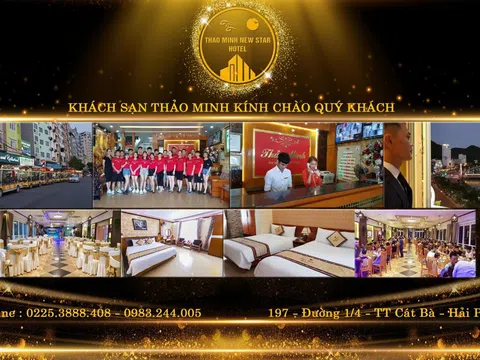 Khách sạn Thảo Minh – Trải nghiệm phong cách nghỉ dưỡng cao cấp bên bờ biển Cát Bà