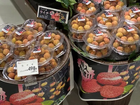 Vải thiều Việt Nam có giá cao ngất khi được "xuất ngoại"