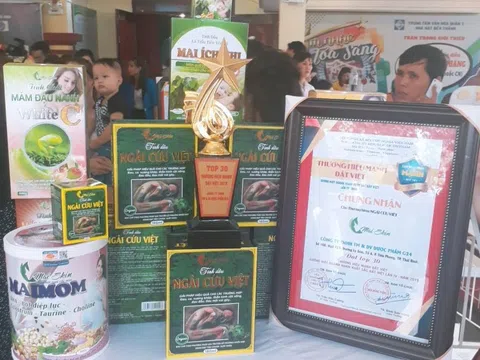 Maiskin và khát vọng độc tôn trong làng đông y Việt