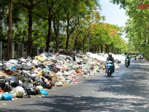 Hà Nội: Hãi hùng đoạn đường gần 500m tràn ngập rác thải