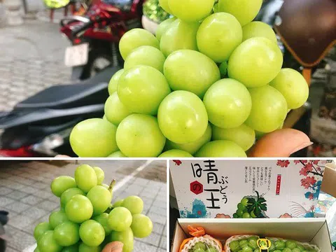 Nho sữa đắt tiền, loạn giá trên thị trường mạng xã hội