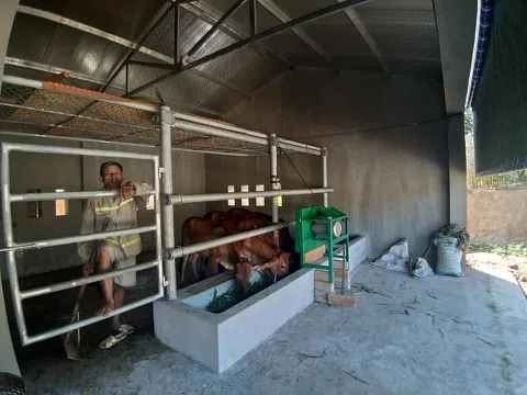 Chuyện lạ ở Nghệ An xây 67 “biệt thự” cho bò với giá 12 tỷ đồng?