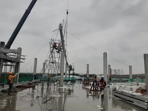 Green Việt Nam: Giữ vững giá trị cốt lõi Uy tín - An toàn - Chuyên nghiệp