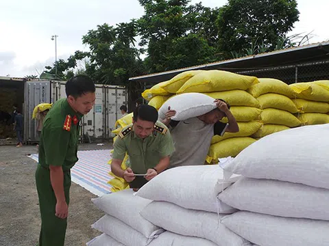 Lào Cai: 440 tấn hạt dẻ có giá trị 14 tỷ trở thành giá trị không đồng sau hơn 1 năm thu giữ
