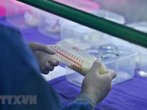 Cận cảnh Ngân hàng sữa mẹ đầu tiên của miền Bắc