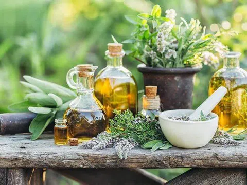 4 Loại tinh dầu thiên nhiên trị mụn hiệu quả mà bạn nên thử